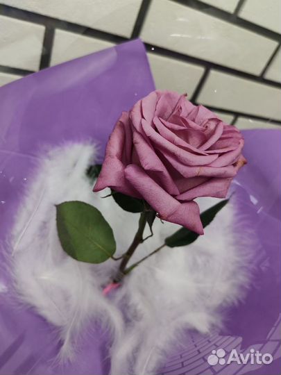 Роза в баблс шаре, подарок к 8 марта