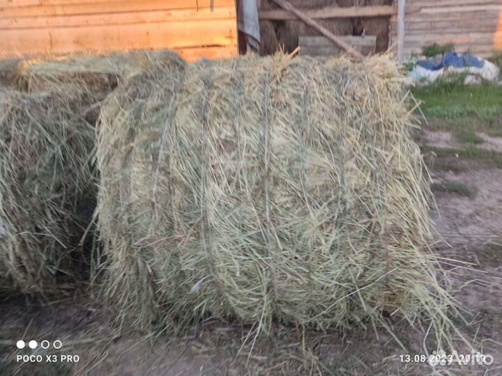 Продам сено в рулонах