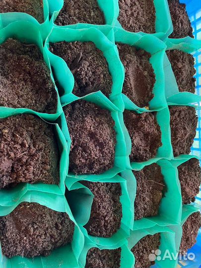 Пакеты для рассады 0,8 литра