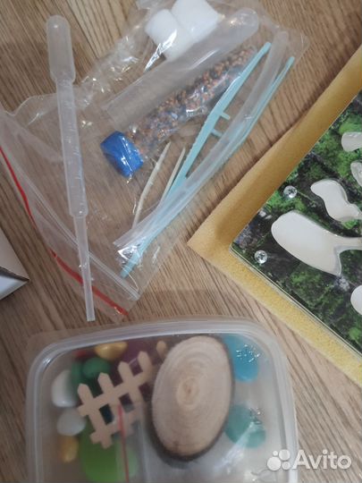 Муравьиная ферма