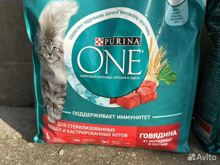 Корм для кошек Purina One