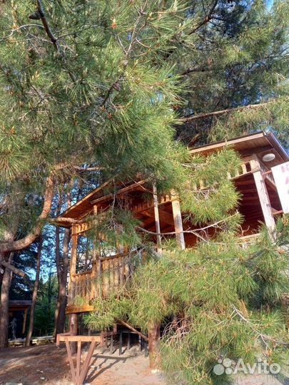 Отдых в абхазии пицунда первая линия моря