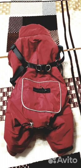 Комбинезон Petmax размер L на девочку