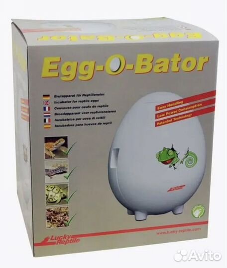 Инкубатор для яиц рептилий