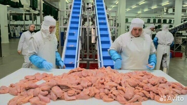 Рабочие на Вахту на производство