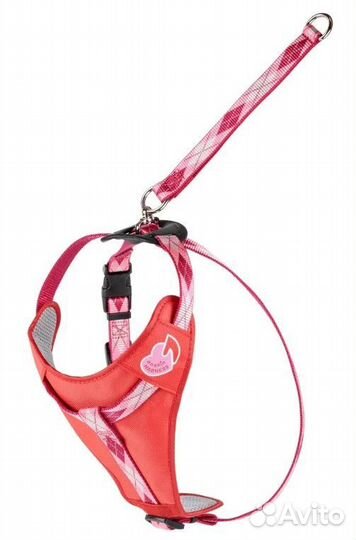 Шлейка Japan Premium Pet, красная + поводок rogz