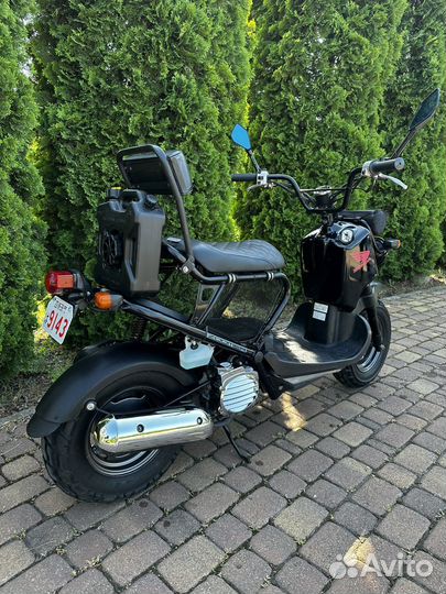 Honda zoomer af58