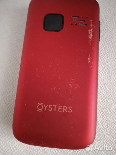 Oysters Ulan-Ude