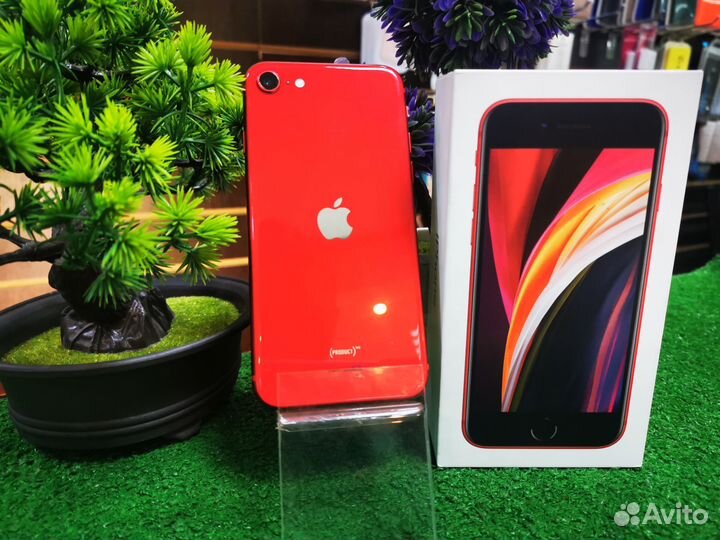 iPhone SE (2020), 64 ГБ