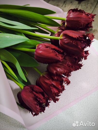 Тюльпаны оптом и в розницу