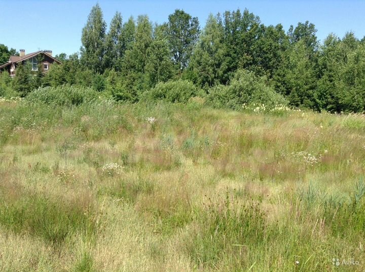 Участок 14,7 сот. (ИЖС)