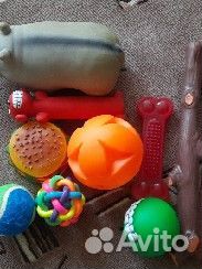 Игрушки для собаки, грызунки
