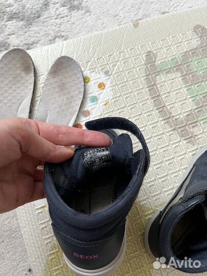Кеды geox 25 размер