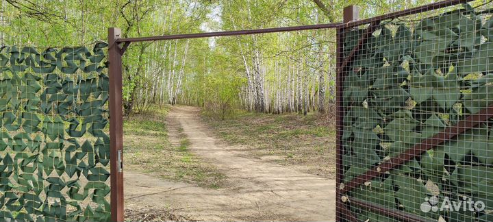 Отдых у леса со всеми удобствами