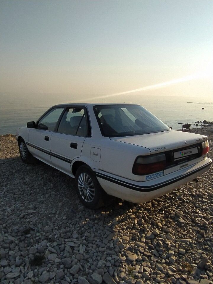 Toyota Corolla: фото владельца