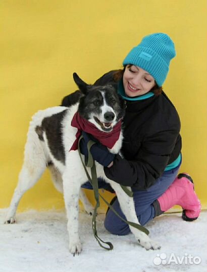 Ему никогда не давали шанса