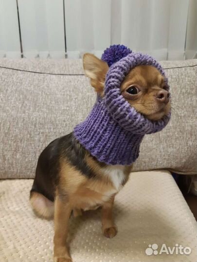 Одежда для собак, свитера, шапки