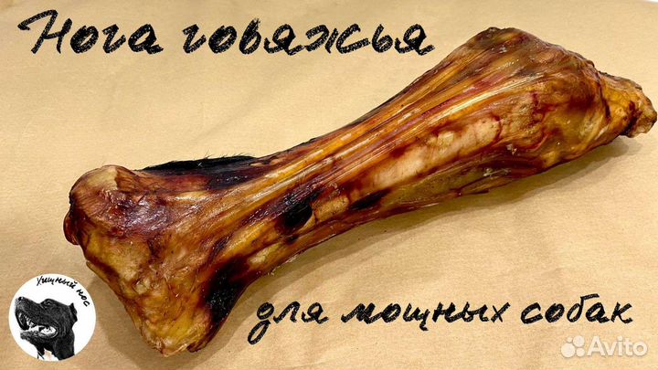 Лакомства для животных Хищный нос