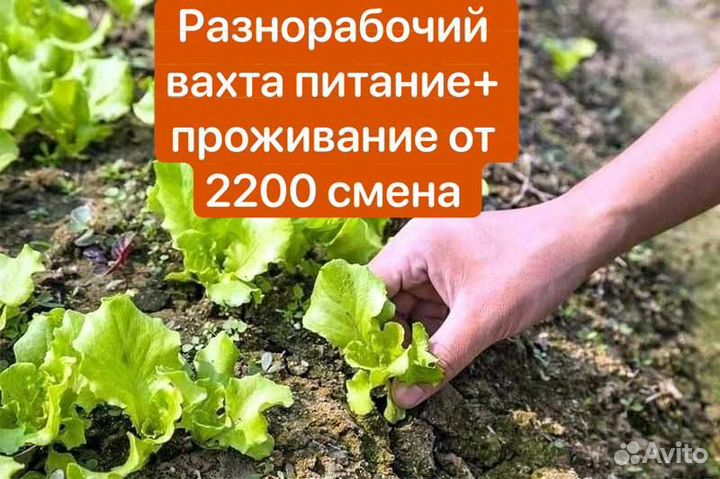 Разнорабочий Вахта(прожив+питание) Новороссийск