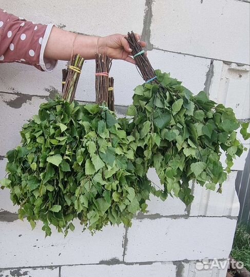 Берёзовый Веник