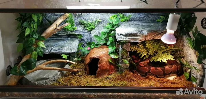 Изготовление объемного фона для террариума, коврик