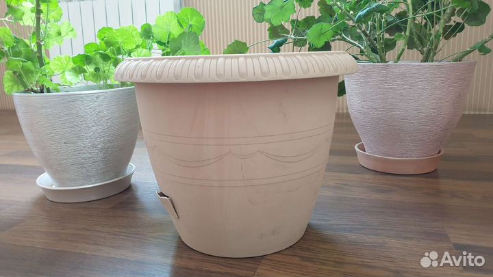 Цветы большие с горшками керамическими