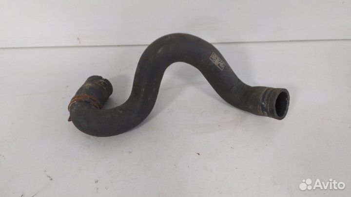 Патрубок радиатора нижний Ford Focus 2