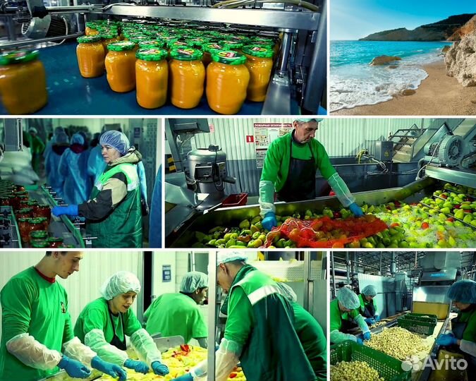 Упаковщики в Краснодарский край