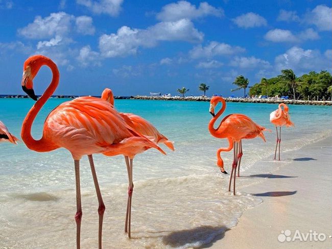 Отдых на Кубе и Доминикане