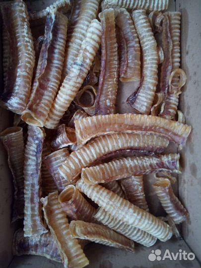 Субпродукты. Сушеное лакомство для животных