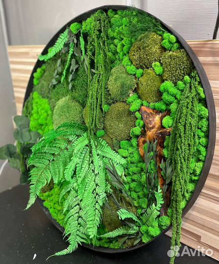 Панно из стабилизированного мха