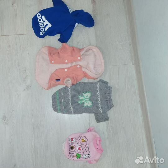 Одежда для маленьких собак