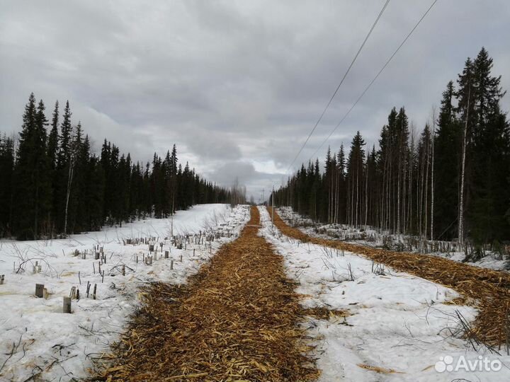 Мульчер, траншеекопатель
