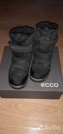 Сапоги ecco