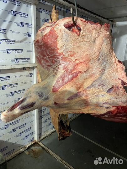 Мясо говядина халяль