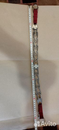 Строгий ошейник для собак