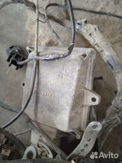 Гбо ловато 4 поколения