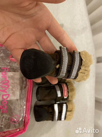 Обувь для собак