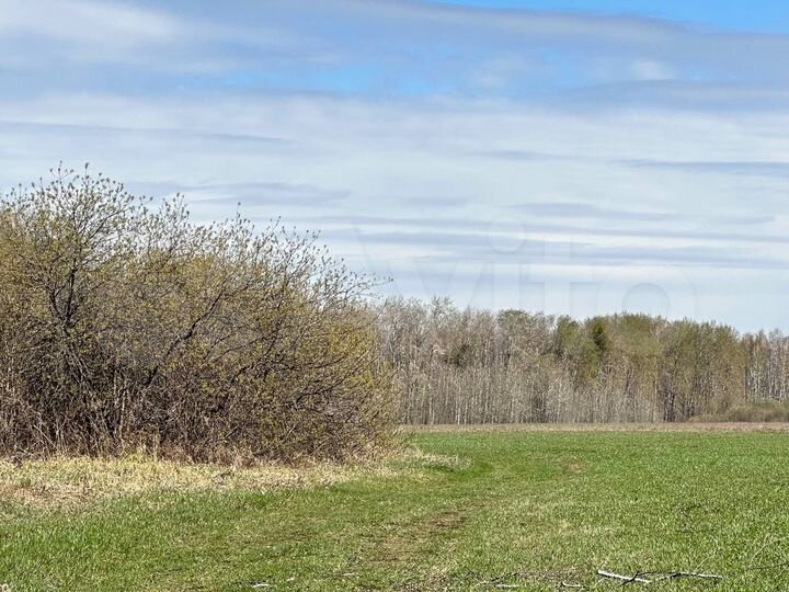 Участок 7,3 сот. (ИЖС)