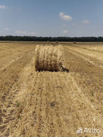 Солома в рулонах