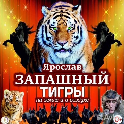 Билет в цирк на шоу «Тигры на земле и в воздухе объявление продам
