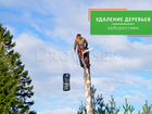 Удаление и спил деревьев в Павловском Посаде объявление продам