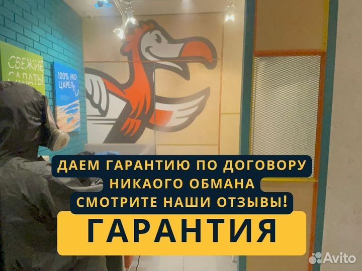 Уничтожение тараканов Уничтожения клопов