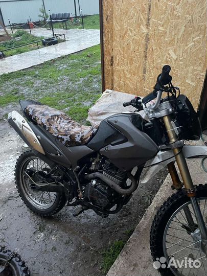 Барс 250