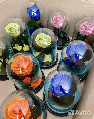 Роза в колбе