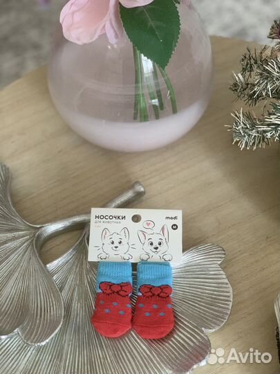 Носочки для мелких пород собак
