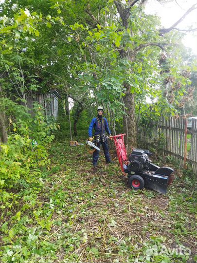 Спил, удаление деревьев по частям, удаление пней