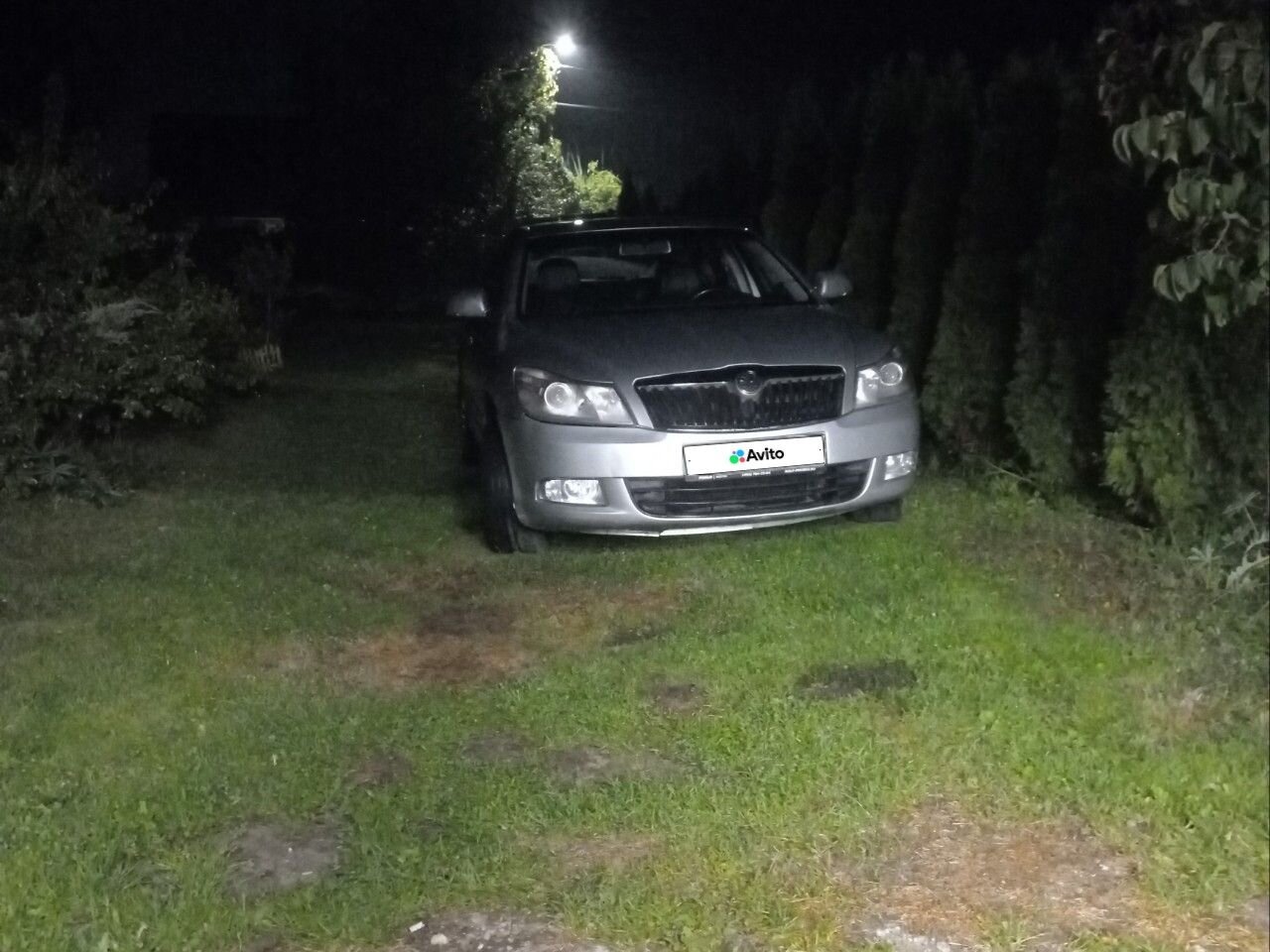 Skoda Octavia: фото владельца