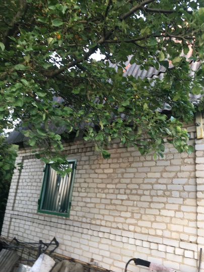 Дача 60 м² на участке 6 сот.