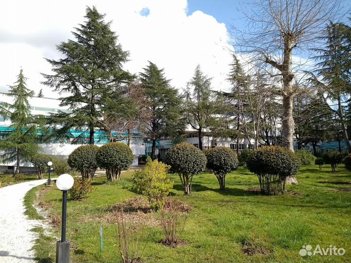 Отдых в санатории 